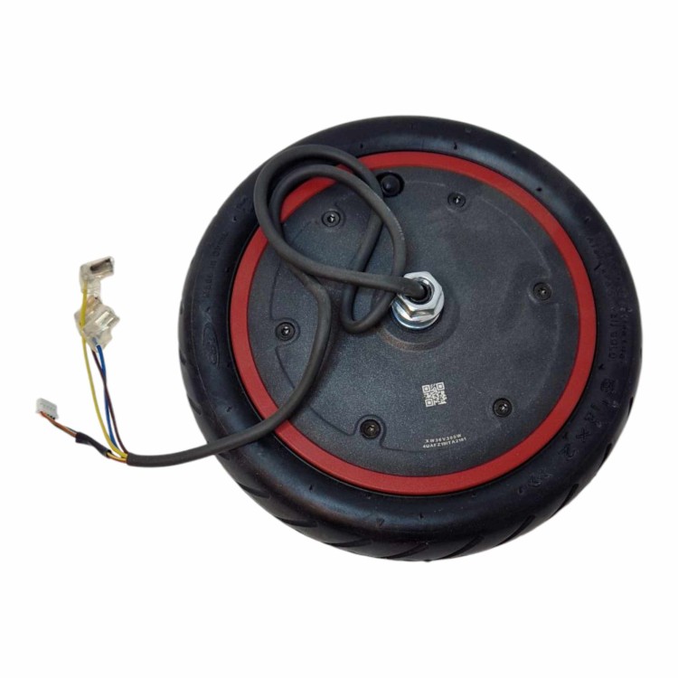 487995325_1389198502254555_9019289298228391363_n